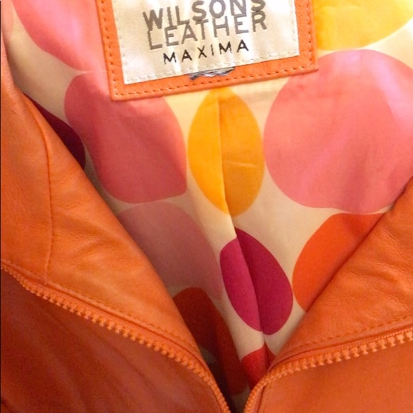 Wilson leather Maxima leather jacket - Picture 5 of 6